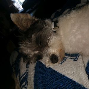 Meet your Posher, Kristen